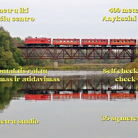 Anyksciai Cozy Studio Eksteriør billede