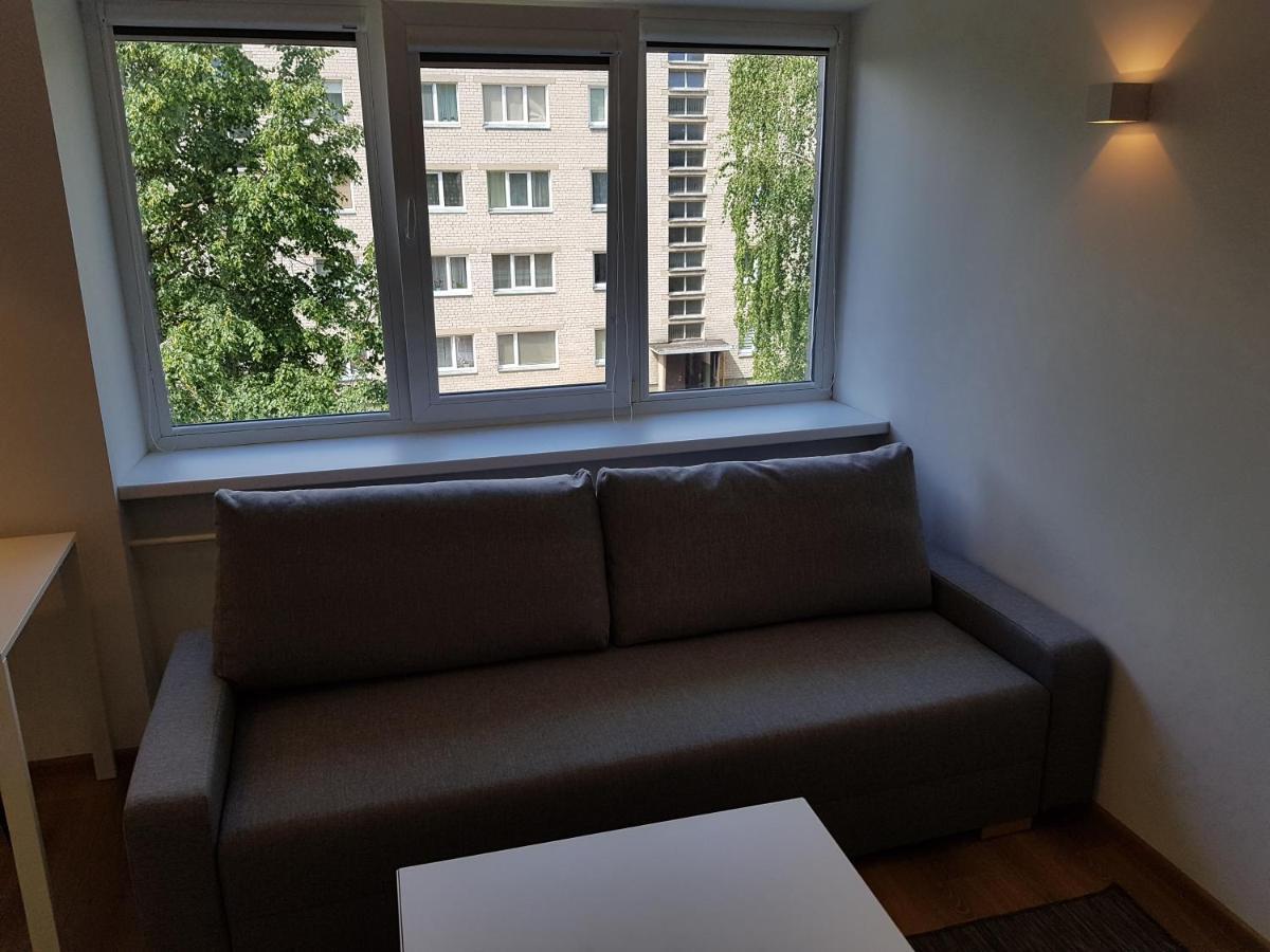Anyksciai Cozy Studio Eksteriør billede