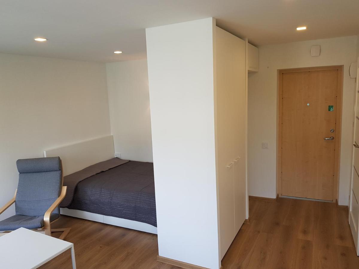 Anyksciai Cozy Studio Eksteriør billede