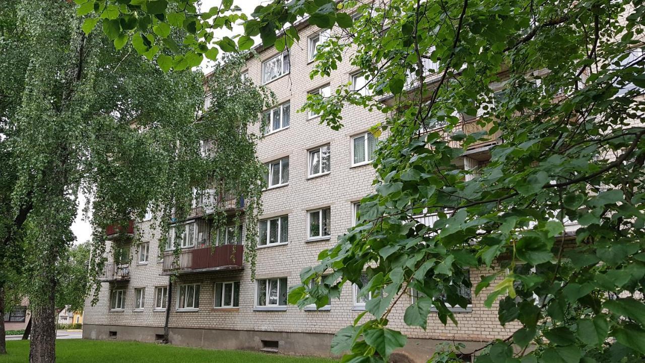 Anyksciai Cozy Studio Eksteriør billede